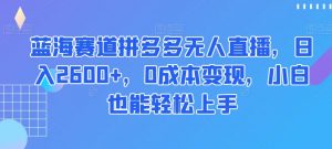 蓝海赛道拼多多无人直播,日入2600+,0成本变现,小白也能轻松上手【揭秘】-学习笔记资源库