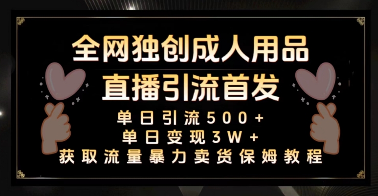 全网独创真人主播+无人直播单日引流500+，橙人用品暴力卖货单日变现3W+保姆似教学2.0【揭秘】-学习笔记资源库