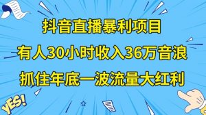 抖音直播暴利项目,有人30小时收入36万音浪,公司宣传片年会视频制作,抓住年底一波流量大红利【揭秘】-学习笔记资源库