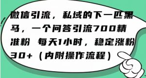 怎么搞精准创业粉?微信新赛道,每天一小时,利用Ai一个问答日引100精准粉-学习笔记资源库
