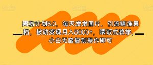 男粉计划6.0,每天发发图片,引流精准男粉,被动变现月入8000+,喂饭式教学,小白无脑复制操作即可-学习笔记资源库