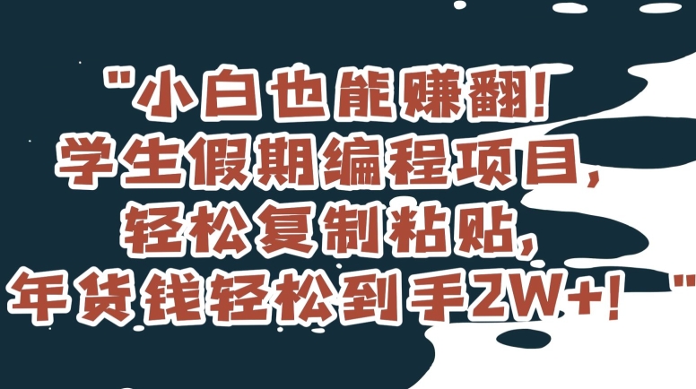 小白也能赚翻！学生假期编程项目，轻松复制粘贴，年货钱轻松到手2W+【揭秘】-学习笔记资源库