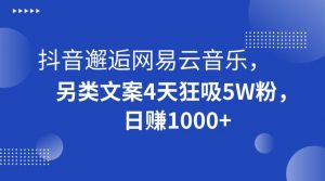 抖音邂逅网易云音乐,另类文案4天狂吸5W粉,日赚1000+【揭秘】-学习笔记资源库