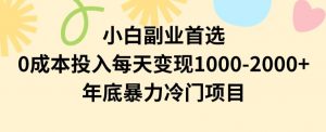 小白副业首选，0成本投入，每天变现1000-2000年底暴力冷门项目【揭秘】-学习笔记资源库