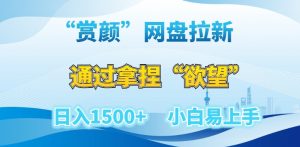“赏颜”网盘拉新赛道,通过拿捏“欲望”日入1500+,小白易上手【揭秘】-学习笔记资源库