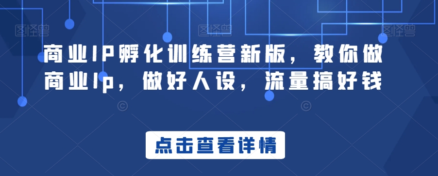 商业IP孵化训练营新版，教你做商业Ip，做好人设，流量搞好钱-学习笔记资源库