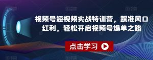 视频号短视频实战特训营,踩准风口红利,轻松开启视频号爆单之路-学习笔记资源库