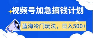 视频号加急搞钱计划,蓝海冷门玩法,日入500+【揭秘】-学习笔记资源库