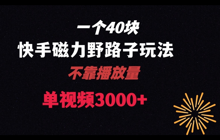 一个40块，快手联合美团磁力新玩法，无视机制野路子玩法，单视频收益4位数【揭秘】-学习笔记资源库
