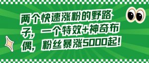 两个快速涨粉的野路子,一个特效+神奇布偶,粉丝暴涨5000起【揭秘】-学习笔记资源库
