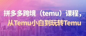 拼多多跨境（temu）课程，从Temu小白到玩转Temu-学习笔记资源库