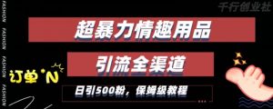 最新情趣项目引流全渠道,自带高流量,保姆级教程,轻松破百单,日引500+粉【揭秘】-学习笔记资源库