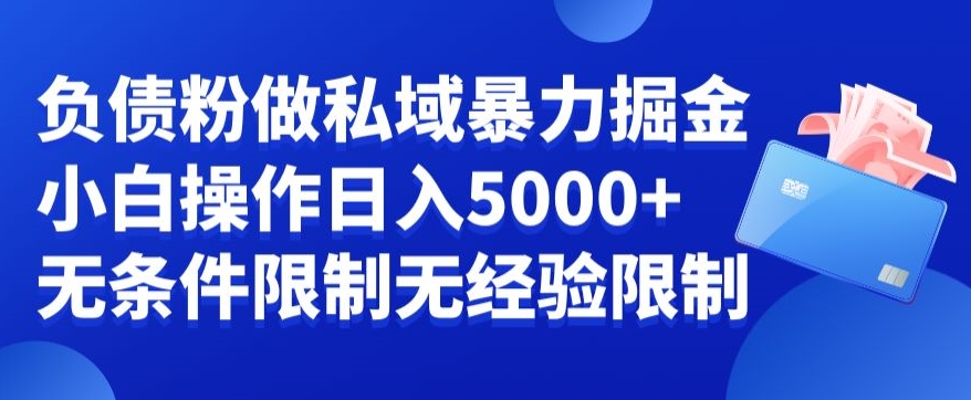负债粉私域暴力掘金，小白操作入5000，无经验限制，无条件限制【揭秘】-学习笔记资源库