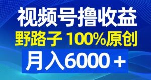 视频号野路子撸收益，100%原创，条条爆款，月入6000＋【揭秘】-学习笔记资源库