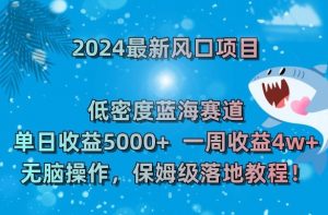 2024最新风口项目，低密度蓝海赛道，单日收益5000+，一周收益4w+！【揭秘】-学习笔记资源库