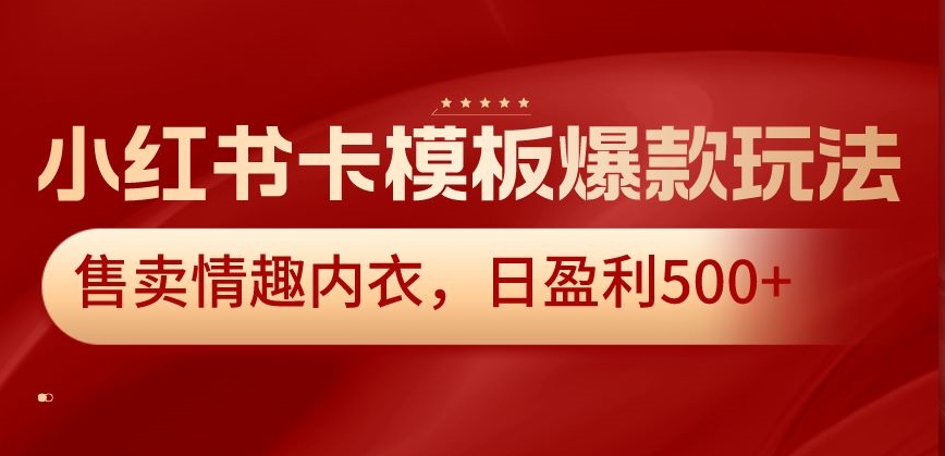小红书卡模板爆款玩法，售卖情趣内衣，日盈利500+【揭秘】-学习笔记资源库