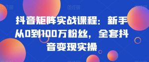 抖音矩阵实战课程：新手从0到100万粉丝，全套抖音变现实操-学习笔记资源库