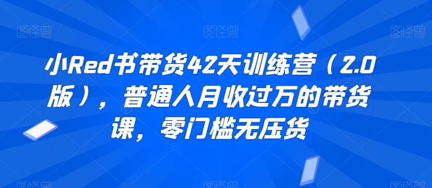 小Red书带货42天训练营（2.0版），普通人月收过万的带货课，零门槛无压货-学习笔记资源库