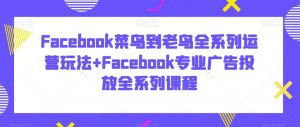 Facebook菜鸟到老鸟全系列运营玩法+Facebook专业广告投放全系列课程-学习笔记资源库