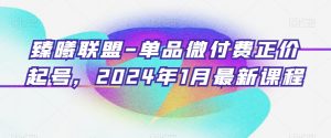臻曦联盟-单品微付费正价起号，2024年1月最新课程-学习笔记资源库