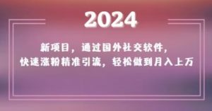 2024新项目,通过国外社交软件,快速涨粉精准引流,轻松做到月入上万【揭秘】-学习笔记资源库