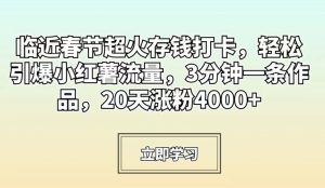 临近春节超火存钱打卡,轻松引爆小红薯流量,3分钟一条作品,20天涨粉4000+【揭秘】-学习笔记资源库