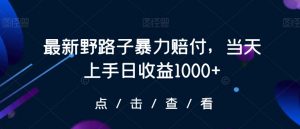 最新野路子暴力赔付,当天上手日收益1000+【仅揭秘】-学习笔记资源库