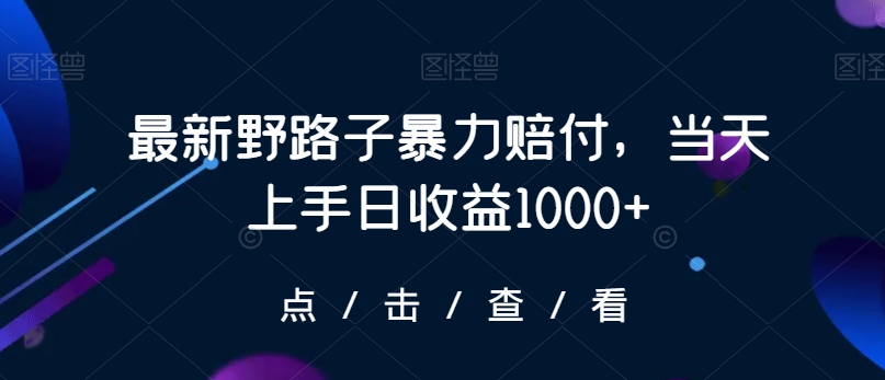 最新野路子暴力赔付，当天上手日收益1000+【仅揭秘】-学习笔记资源库