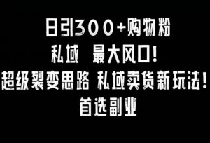 日引300+购物粉,超级裂变思路,私域卖货新玩法,小红书首选副业【揭秘】-学习笔记资源库