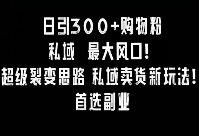 日引300+购物粉，超级裂变思路，私域卖货新玩法，小红书首选副业【揭秘】-学习笔记资源库