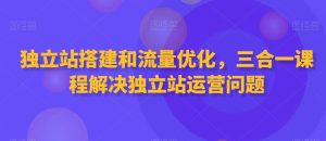 独立站搭建和流量优化，三合一课程解决独立站运营问题-学习笔记资源库
