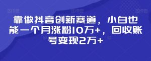 靠做抖音创新赛道，小白也能一个月涨粉10万+，回收账号变现2万+【揭秘】-学习笔记资源库