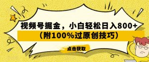 视频号掘金,小白轻松日入800+(附100%过原创技巧)【揭秘】-学习笔记资源库