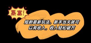 短剧最新玩法,新手当天就可以有收入,收入轻松破万【揭秘】-学习笔记资源库