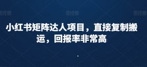 小红书矩阵达人项目,直接复制搬运,回报率非常高-学习笔记资源库