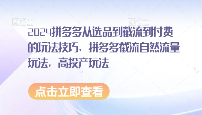2024拼多多从选品到截流到付费的玩法技巧，拼多多截流自然流量玩法，高投产玩法-学习笔记资源库