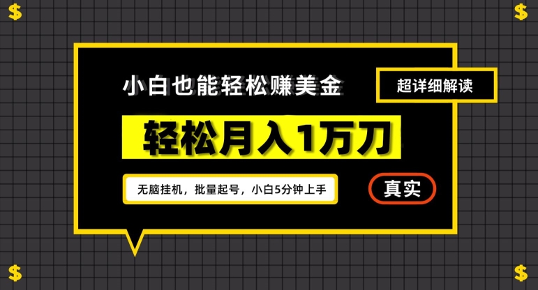 谷歌看广告撸美金2.0，无脑挂机，多号操作，月入1万刀【揭秘】-学习笔记资源库