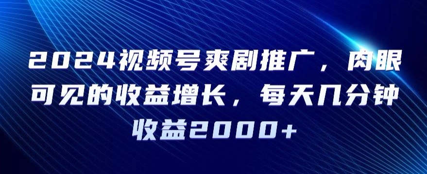 2024视频号爽剧推广，肉眼可见的收益增长，每天几分钟收益2000+【揭秘】-学习笔记资源库