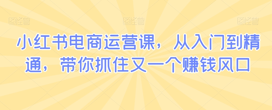 小红书电商运营课，从入门到精通，带你抓住又一个赚钱风口-学习笔记资源库