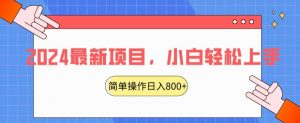 2024最新项目,红娘项目,简单操作轻松日入800+【揭秘】-学习笔记资源库