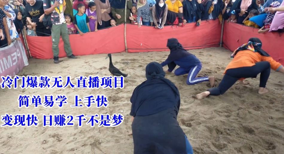 冷门爆款无人直播项目，简单易学上手快，变现快日赚2千不是梦【揭秘】-学习笔记资源库