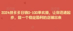 2024拼多多日销0-100单实操，让你迅速起步，做一个稳定盈利的店铺出来-学习笔记资源库