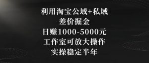 利用淘宝公域+私域差价掘金，日赚1000-5000元，工作室可放大操作，实操稳定半年【揭秘】-学习笔记资源库