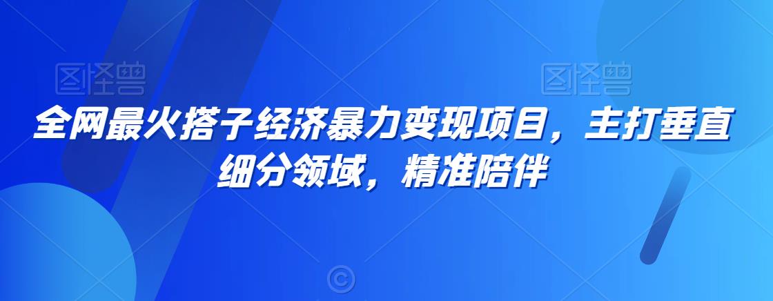 全网最火搭子经济暴力变现项目，主打垂直细分领域，精准陪伴【揭秘】-学习笔记资源库