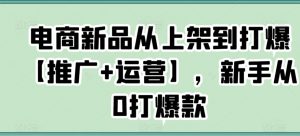 电商新品从上架到打爆【推广+运营】，新手从0打爆款-学习笔记资源库