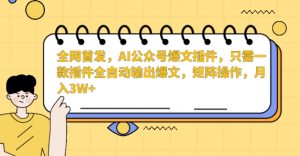 全网首发,AI公众号爆文插件,只需一款插件全自动输出爆文,矩阵操作,月入3W+【揭秘】-学习笔记资源库