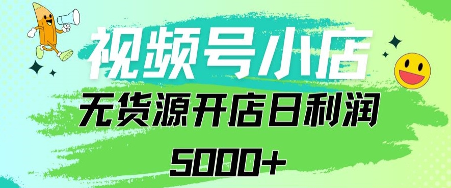 视频号无货源小店从0到1日订单量千单以上纯利润稳稳5000+【揭秘】-学习笔记资源库