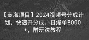 【蓝海项目】2024视频号分成计划,快速开分成,日爆单8000+,附玩法教程-学习笔记资源库