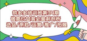 拼多多培训班第34期:做高价女装必盈利剖析选品/测款/运营/推广/拓展-学习笔记资源库