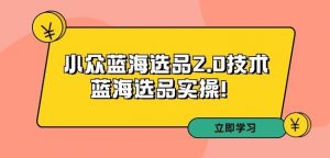 拼多多培训第33期:小众蓝海选品2.0技术-蓝海选品实操!-学习笔记资源库